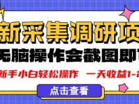 新版采集调研项目，截图上传即可，无脑操作，日收益1-2张