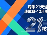 淘系21天运营速成班-12月更新，能够快速复制落地，系统掌握淘系盈利运营的核心技能