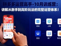 拼多多运营高手-10月训练营：讲解从新手到高阶玩法的完整运营体系！