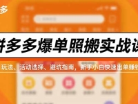 拼多多爆单照搬实战课，类目玩法、活动选择、避坑指南，新手小白快速出单赚钱