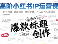 高阶小红书IP运营课:账号包装+爆款标题+商业接单,月入过万实战指南
