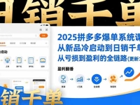 2025拼多多爆单系统课，从新品冷启动到日销千单、从亏损到盈利的全链路（更新12月）