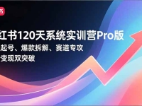 小红书120天系统实训营Pro版,定位起号、爆款拆解、赛道专攻,实现涨粉变现双突破