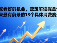 某付费文章:国家看好的机会,政策解读掘金课,未来最有前景的13个具体消费赛道