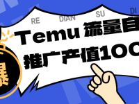 专注于Temu、商家提供精准曝光浏览量，助力店铺排名提升和转化。单机日收入80~130