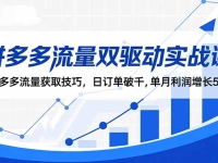 拼多多流量双驱动实战课:拼多多流量获取技巧,日订单破千,单月利润增长5w
