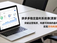 拼多多稳定盈利系统课(更新11月)，突破运营瓶颈，构建可持续的盈利模型，实现月均利润5万+