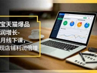 淘宝天猫爆品利润增长-11月线下课,免费流量、付费放大、费比管控,实现店铺利润倍增