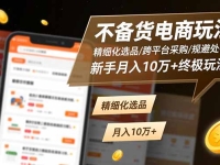 不备货电商玩法：精细化选品/跨平台采购/规避处罚，新手月入10万+终极玩法