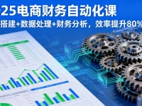 2025电商财务自动化课，模型搭建+数据处理+财务分析，效率提升80%