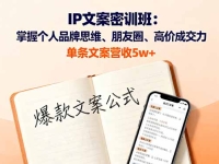 IP文案密训班：掌握个人品牌思维、朋友圈、高价成交力，单条文案营收5w+