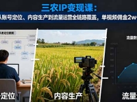 三农IP变现课：从账号定位、内容生产到流量运营全链路覆盖，单视频佣金2w+