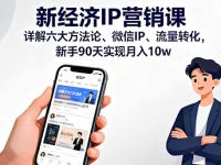 新经济IP营销课：详解六大方法论、微信IP、流量转化，新手90天实现月入10w