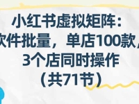 小红书虚拟矩阵：软件批量发笔记，单店100款，3个店同时操作（共71节）