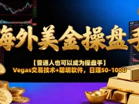 AI美金操盘手技术【普通人也可以成为操盘手】Vegas交易技术+聪明软件，日赚50-100U