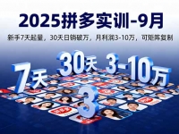 2025拼多多实训-9月：新手7天起量,30天日销破万,月利润3-10万,可矩阵复制