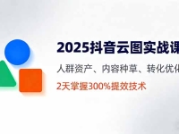 2025抖音云图实战课，人群资产、内容种草、转化优化，2天掌握300%提效技术