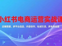 小红书电商运营实战课，店铺搭建、多平台选品、内容创作、私域引流、多账号运营等玩法