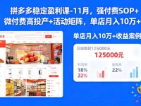 拼多多稳定盈利课-11月，强付费SOP+微付费高投产+活动矩阵，单店月入10w+