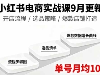 小红书电商实战课9月更新，开店流程/选品策略/爆款店铺打造，单号月均10w+