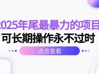2025年尾最暴力的项目可长期操作永不过时