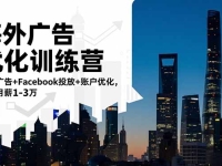 海外广告优化训练营：谷歌广告+Facebook投放+账户优化，轻松月薪1-3万