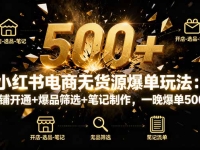 小红书电商无货源爆单玩法：店铺开通+爆品筛选+笔记制作，一晚爆单500+