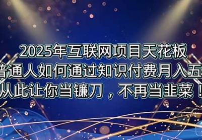 2025年互联网项目天花板，普通人如何通过卖项目实现逆风翻盘，月入5W＋！