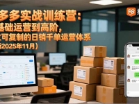 拼多多实战训练营:从基础运营到高阶,建立可复制的日销千单运营体系(更新11月)