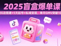 2025盲盒爆单课，抖店搭建+5天起号+私域变现，单月GMV突破10万