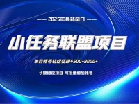 小任务联盟项目：一台电脑每天只需10分钟，轻松简单稳定
