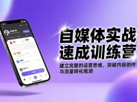 自媒体实战速成训练营:建立完整的运营思维,突破内容创作与流量转化瓶颈