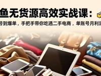 闲鱼无货源高效实战课：从起号到爆单，手把手带你吃透二手电商，单账号月利润破万