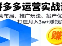 拼多多运营实战课，活动布局、推广玩法、投产优化，打造月入3w+赚钱店铺