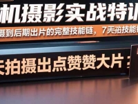 手机摄影实战特训，从拍摄到后期出片的完整技能链，7天拍出点赞大片