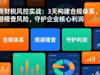 电商财税风控实战:3天构建合规体系,规避稽查风险,守护企业核心利润