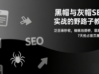 黑帽与灰帽SEO实战的野路子教程：泛目录秒收，蜘蛛池搭桥，霸屏截流，7天抢占首页暴利词
