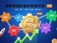 拼多多高阶盈利系统打法-9月：选品+推广+活动+诊断+最新风口，月利润3-10w