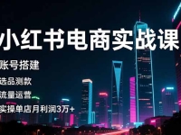 小红书电商实战课，账号搭建，选品测款，流量运营，实操月利润3万+