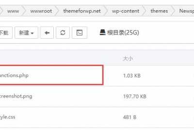 WordPress添加复制弹窗提示版权
