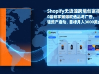 Shopify爆款打法实战:从选品到广告投放,复制爆款模型,驱动独立站月销售额破万刀
