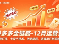 拼多多全链路-12月运营课，爆款打造、卡投产技术、活动破局，店铺单日利润破万