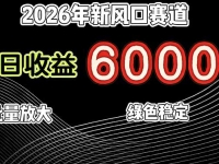 2026年新风口赛道，当日6000+以上，可批量放大，月收入20万+，长期绿色稳定的项目