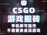 CSGO游戏挂机捡漏，单日扫货500+，年底小高峰上车可吃肉，手机即可操作…