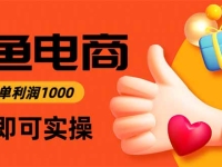 闲鱼高利润电商,当天上架当天出单,一单利润300