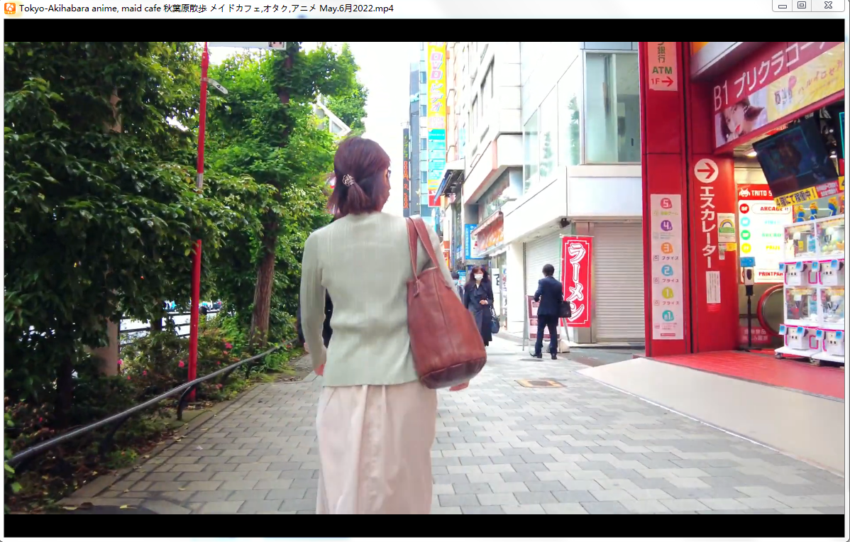 SC204日本街拍街景视频