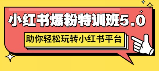 小红书爆粉特训班5.0，助你轻松玩转小红书平台