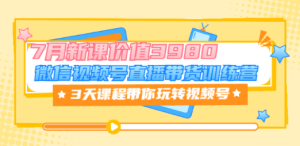 微信视频号直播带货训练营，3天课程带你玩转视频号：7月新课价值3980