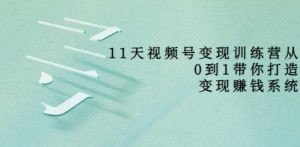 好望角·11天视频号变现训练营，从0到1打造变现赚钱系统