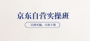 【京东自营实操班】只讲实操，只讲干货（28小时课程-共2期）
